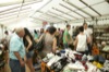 Ipfmesse 2014 07